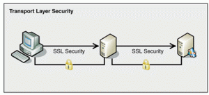 Transport-Layer-Security